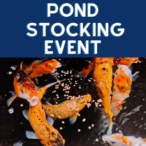Pond Stocking Event!