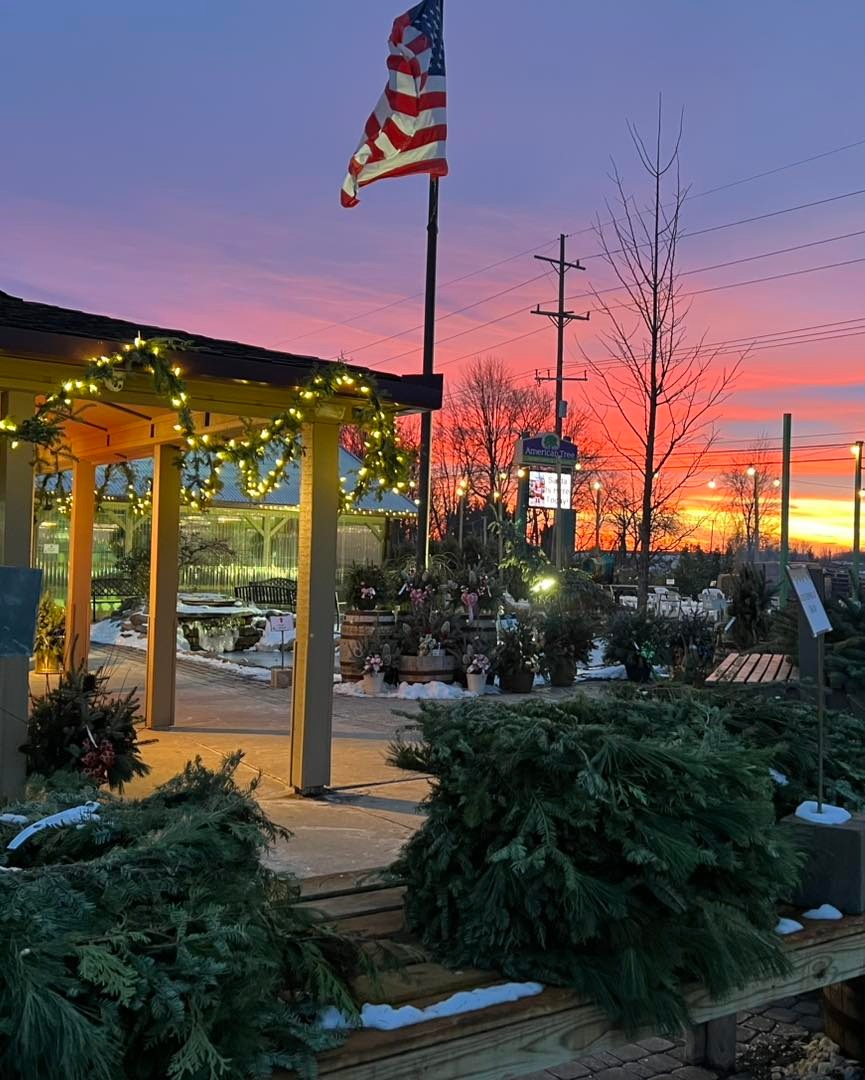 American Tree, Inc photo