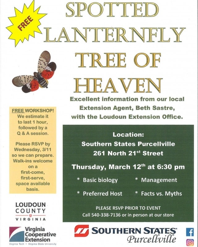 Garden Talk - Spotted Lanternfly / Tree of Heaven