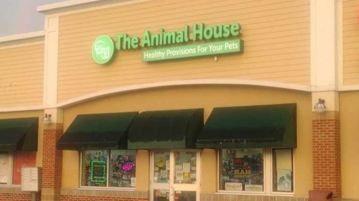  The Animal House - Westbrook