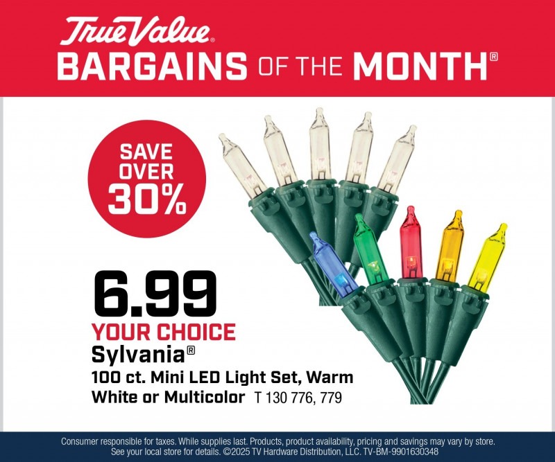 Your Choice Sylvania® 100 ct. Mini LED Light Set $6.99