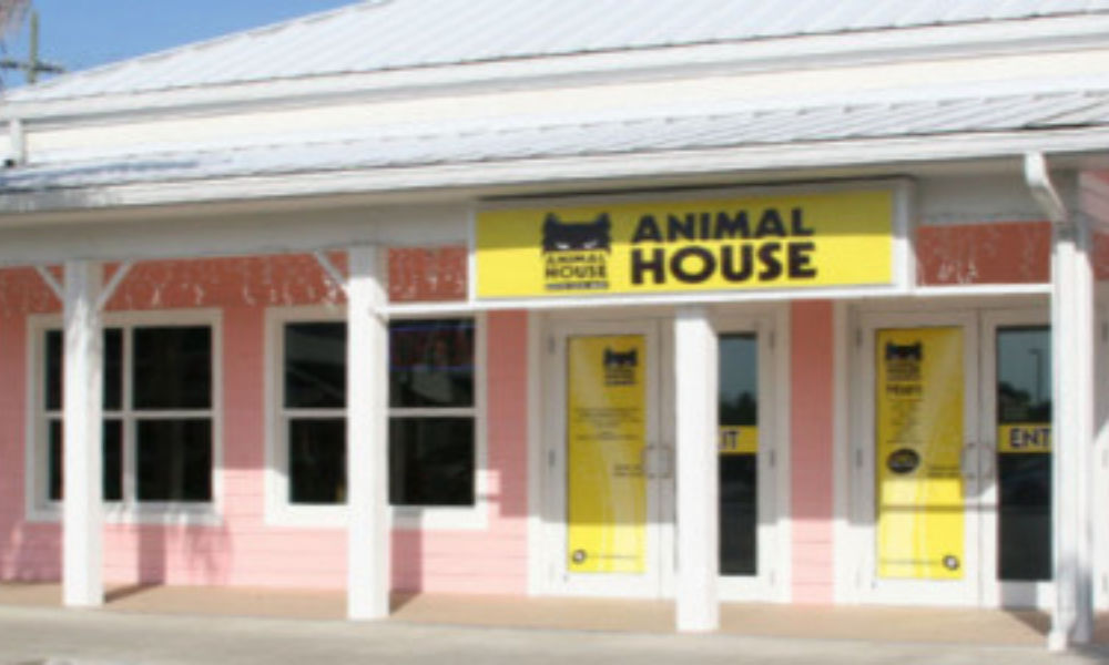 Animal House - Savannah