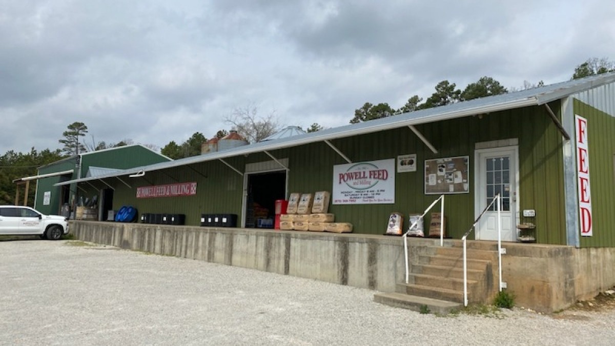  Powell Feed - Melbourne