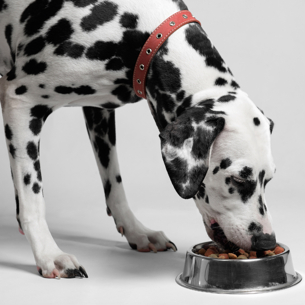 10% Off Food Purchase