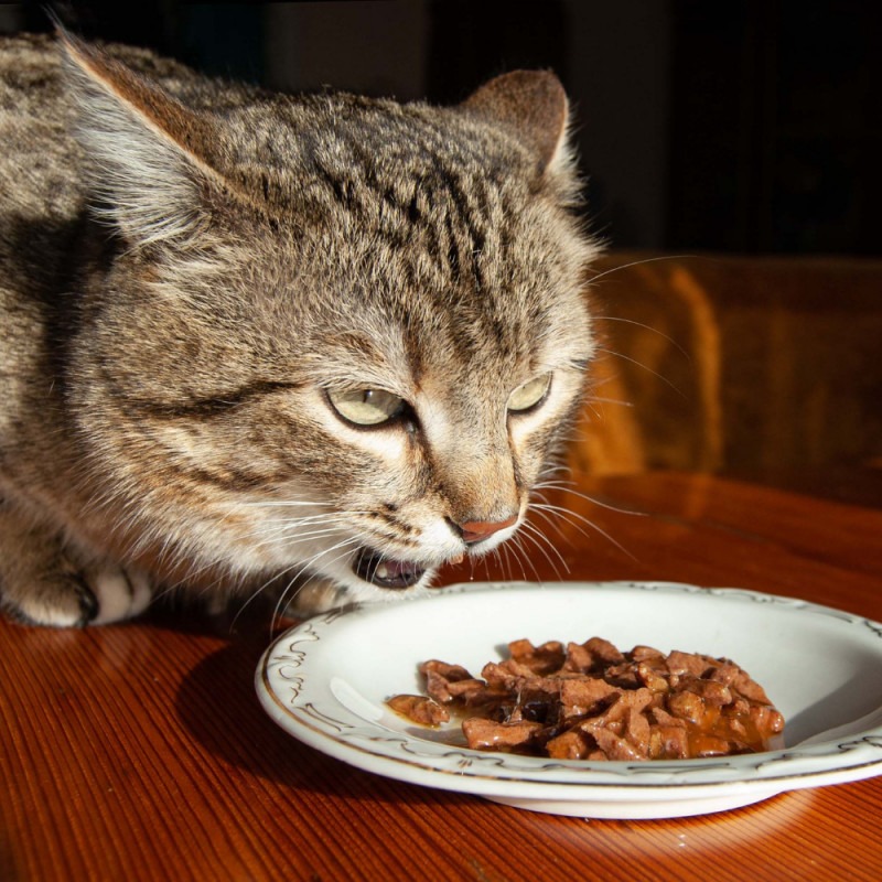 5% Off Food Purchase