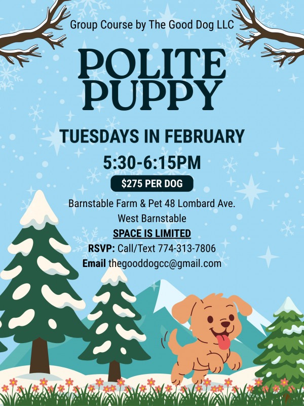 Polite Puppy