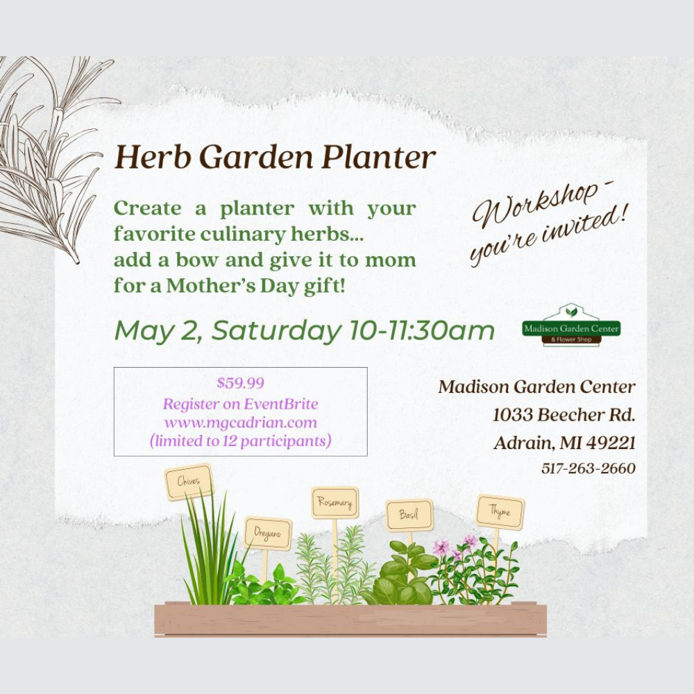 Herb Garden Planter Workshop