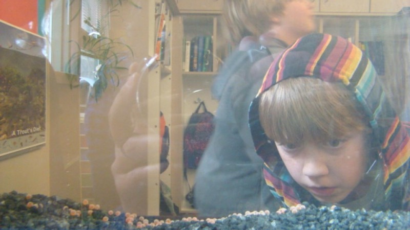 As Is" Sales Support Local Education