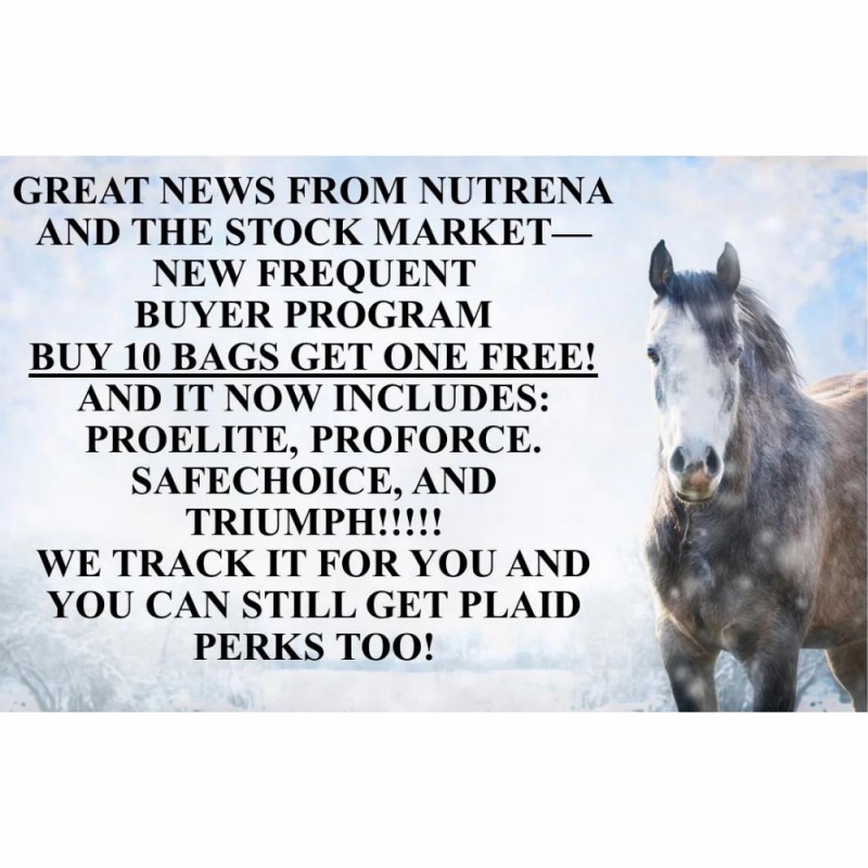 New Frequent Buyer Program