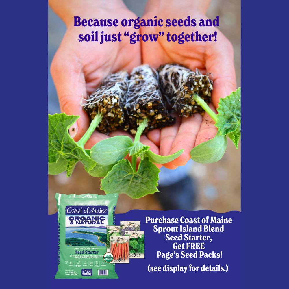 🌱 Coast of Maine Special!