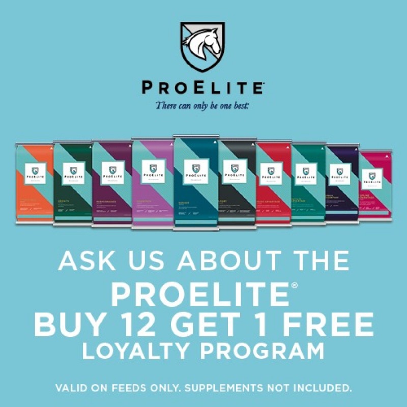 Buy 12, Get 1 Free ProElite® Horse Feeds