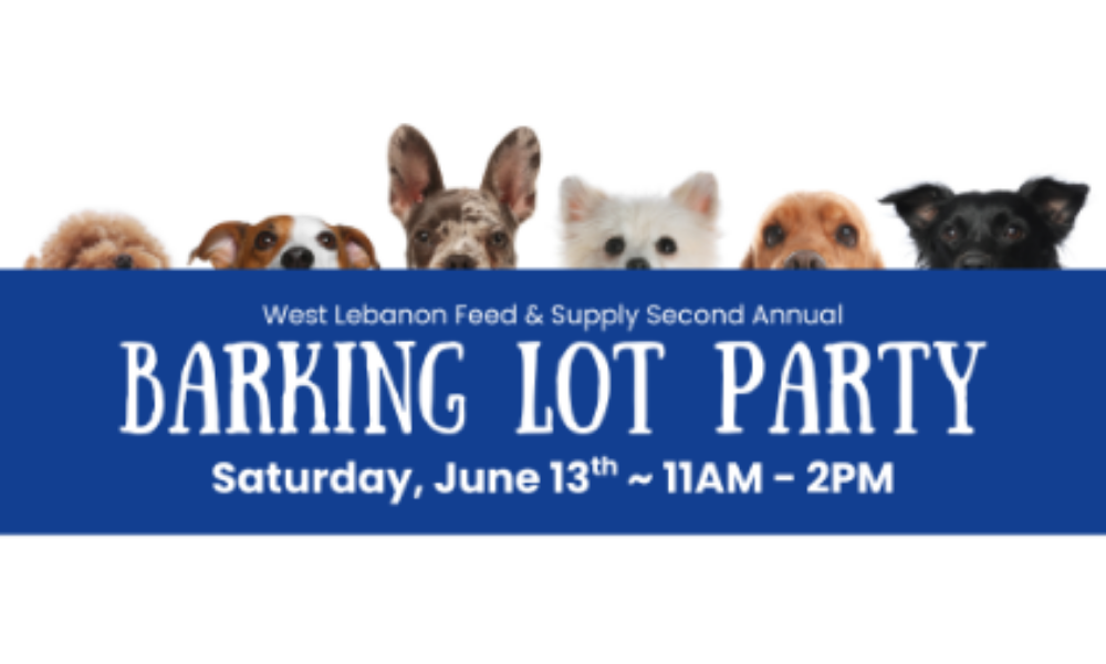 2nd Annual Barking Lot Party
