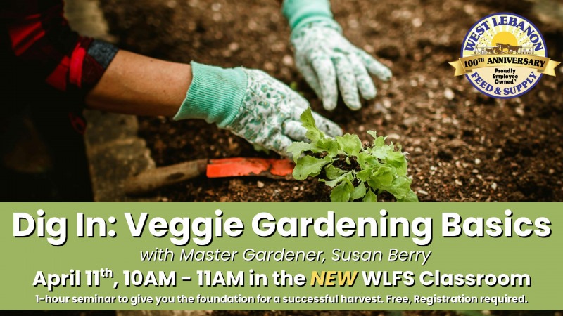 Dig In: Veggie Garden Basics with Master Gardener Susan Berry