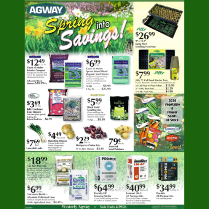 Spring Into Savings!