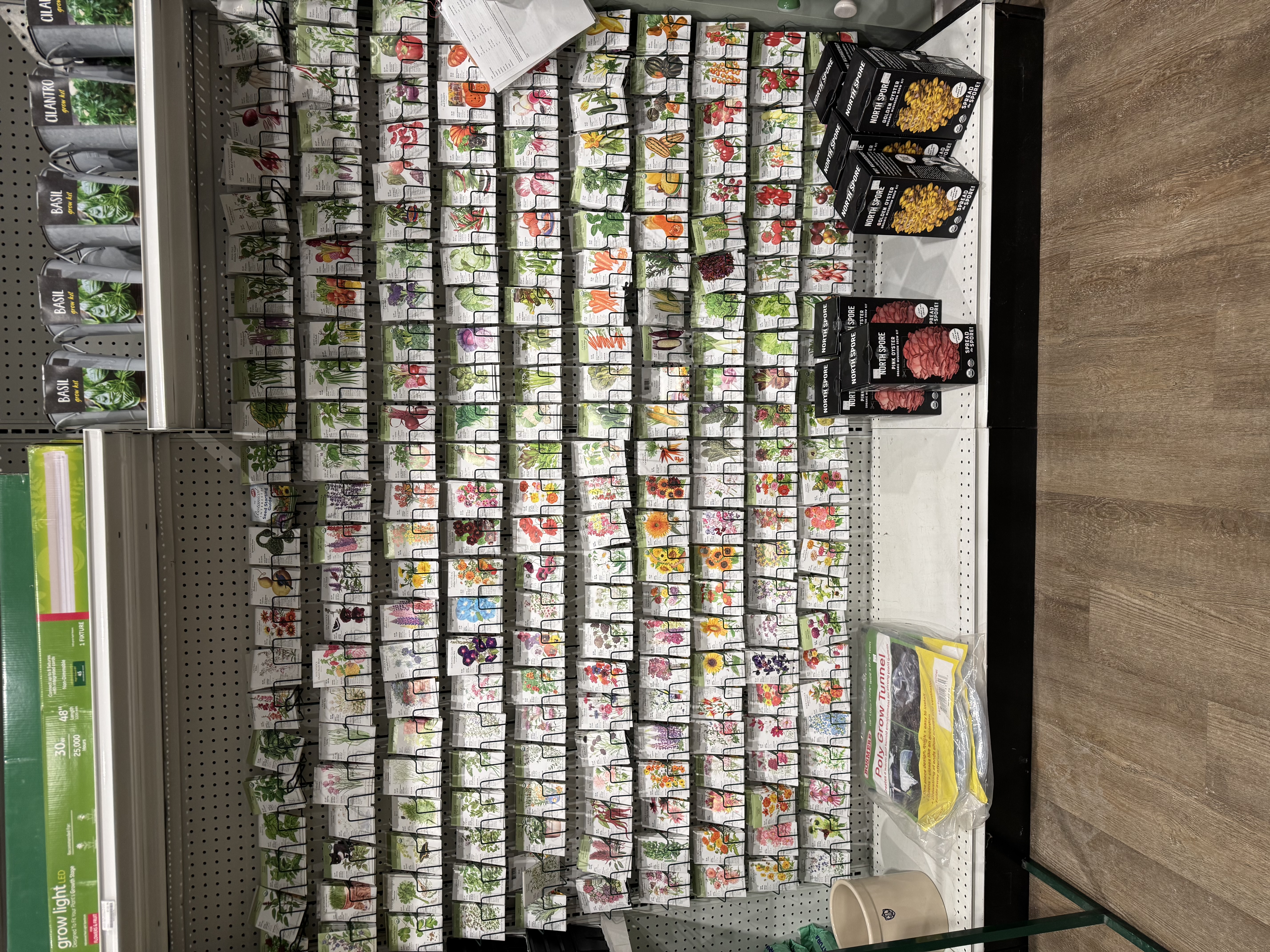 We Have the Seeds You Need!!