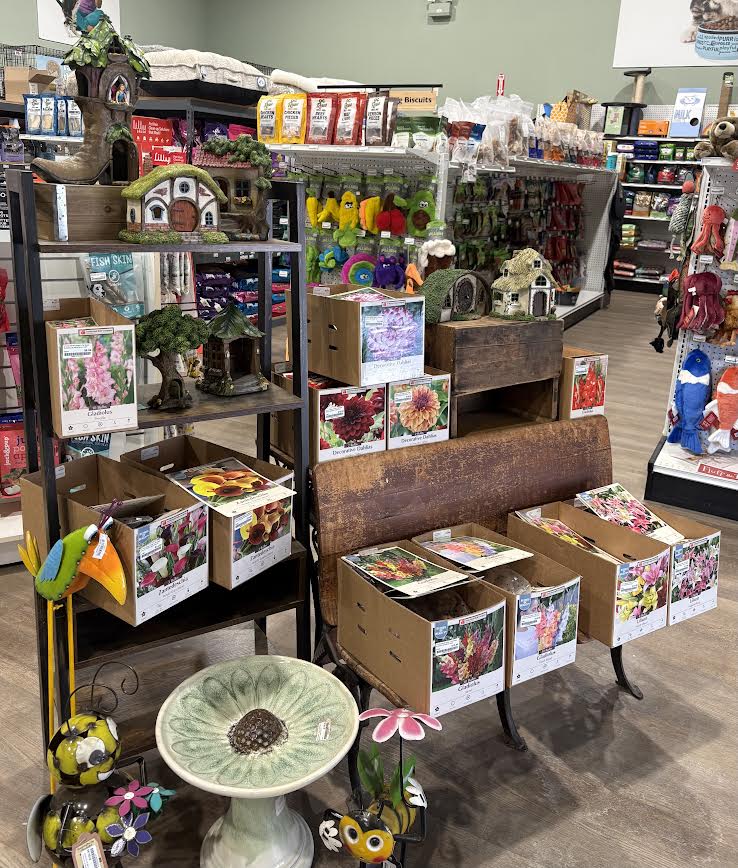 🌺 Add Color All Summer Long!