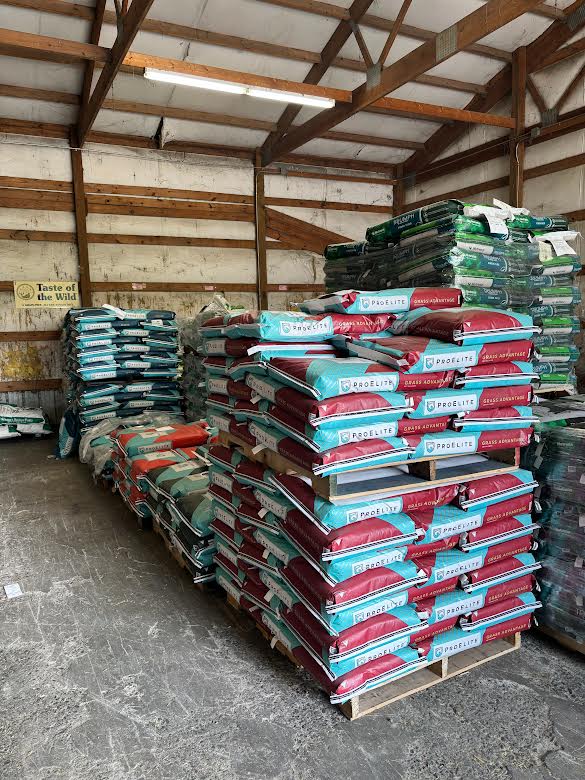 Mane Street Horse and Pet photo