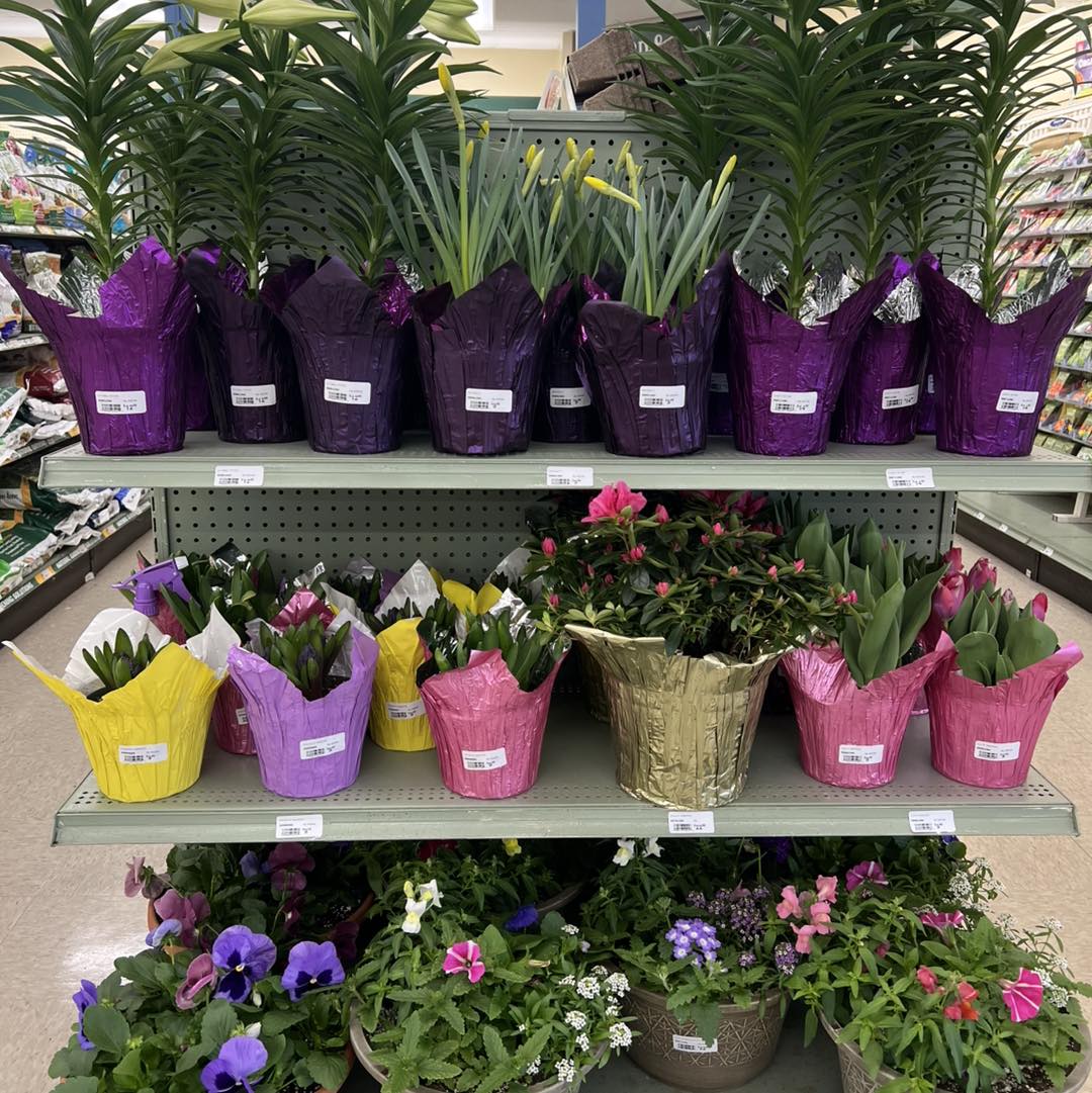 Pittsburgh Agway - Butler Agway photo