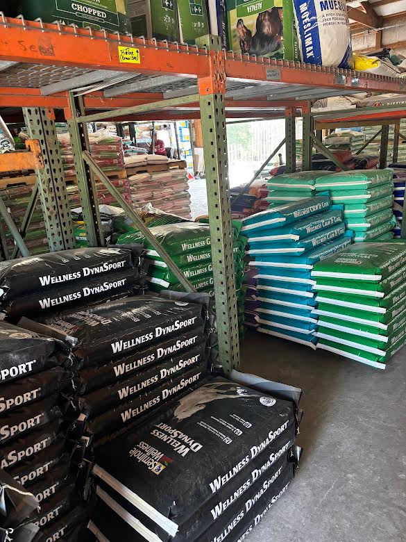 Mane Street Horse and Pet photo