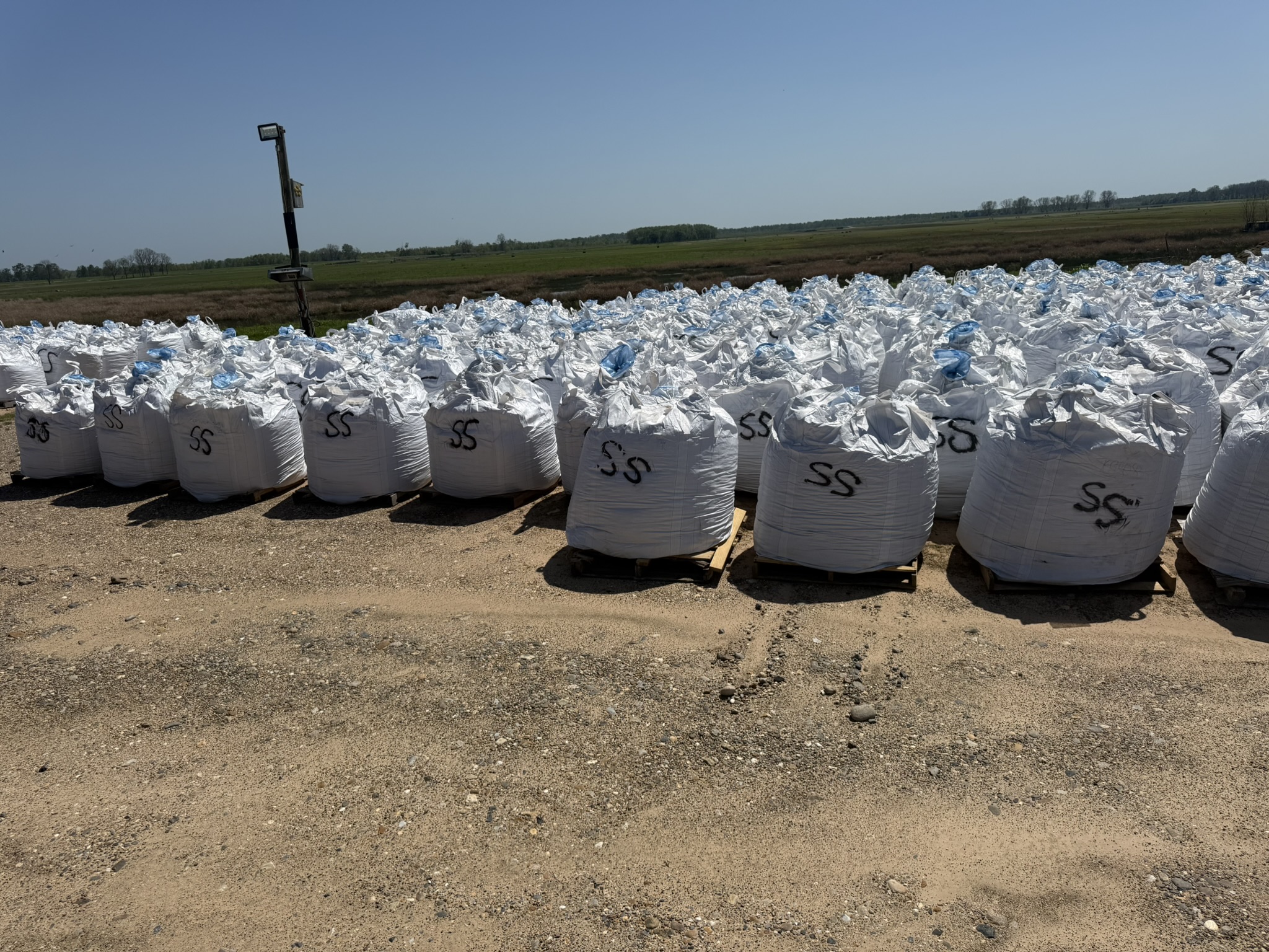 🌱 NEW PRODUCT ALERT! 🌱