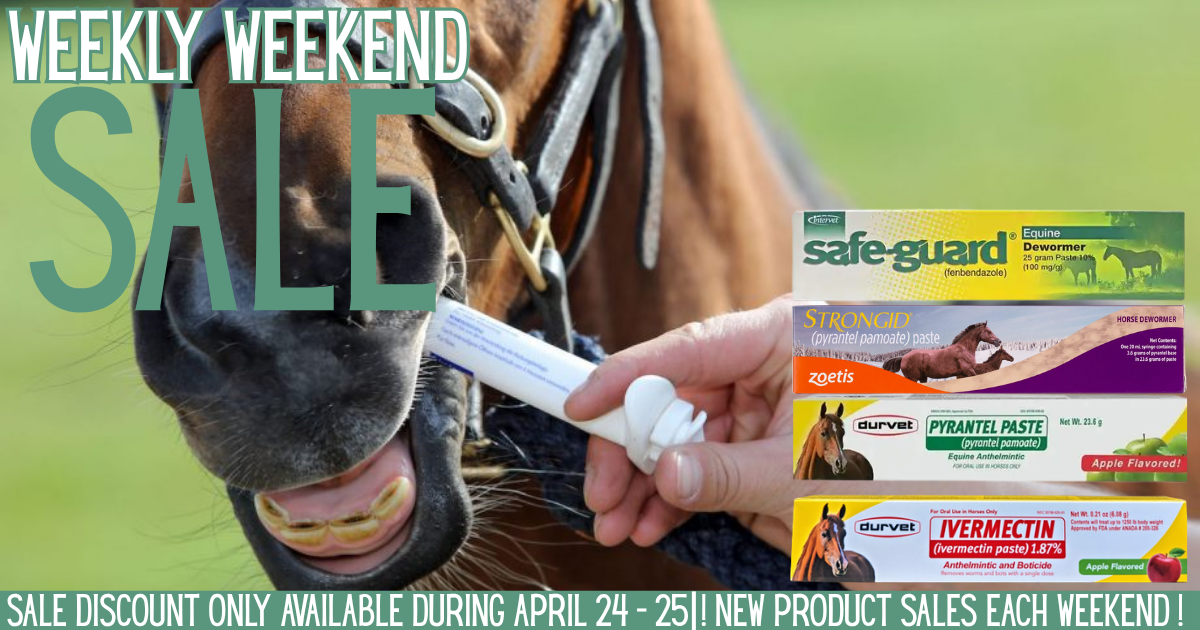 🐎 Fresh, Clean & Ready to Ride 🐎