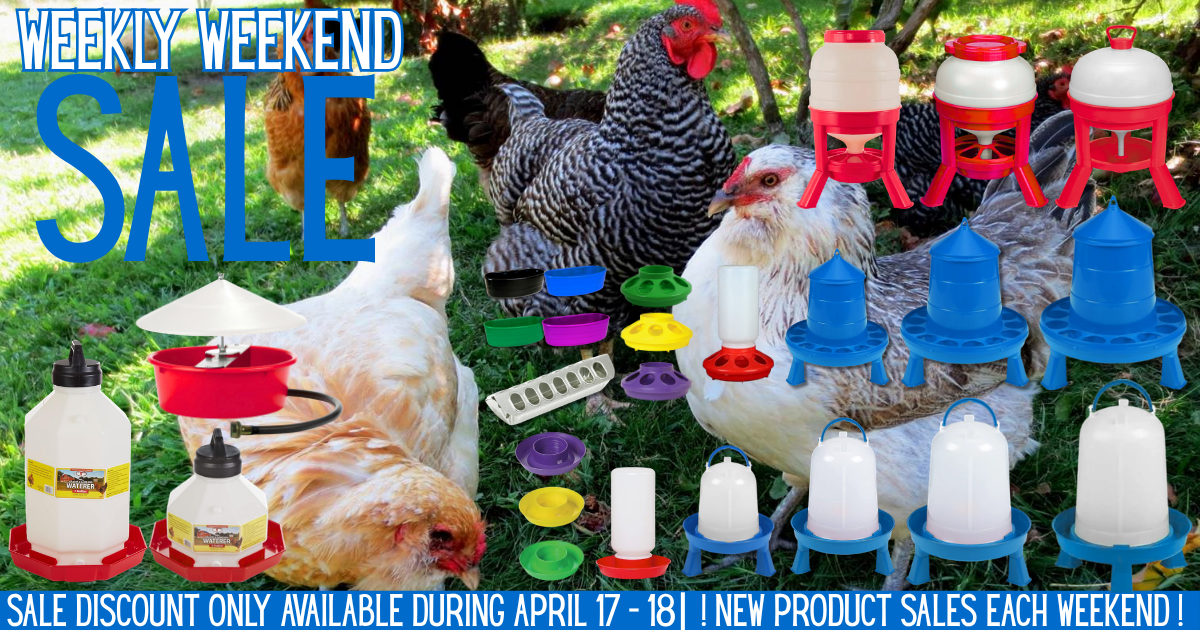 🐓 Feed Your Flock for Less 🐓