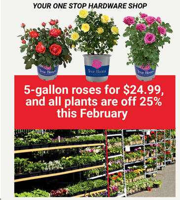 🌹 February Plant Sale! 🌿