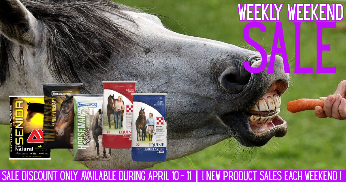 Fuel Your Horse for Less! 🐎