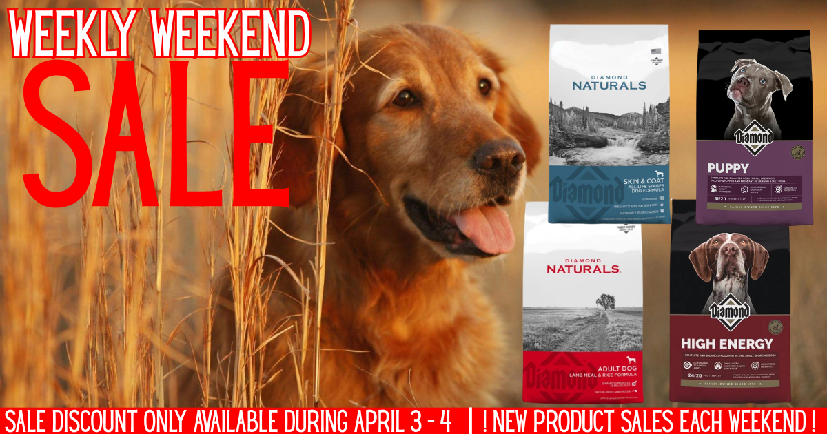 🐶 Don’t Miss This! 🐶